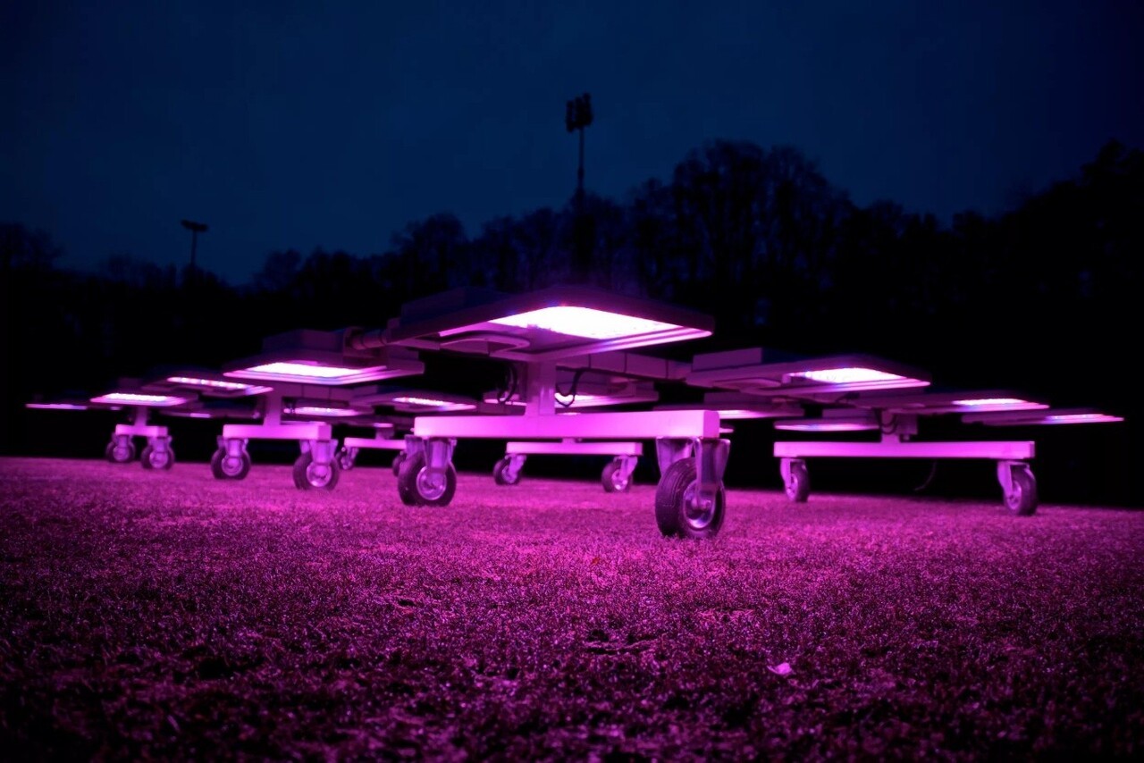 ams오스람, 원예용 LED 'OSCONIQ P 3737 Gen 3' 출시